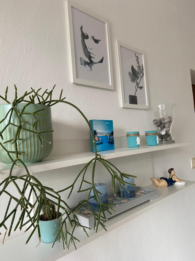 Apartment Andreja 塞尼 外观 照片